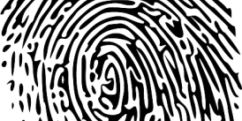 fingerprint-150159_640